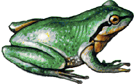 Leaping into the world . . . 