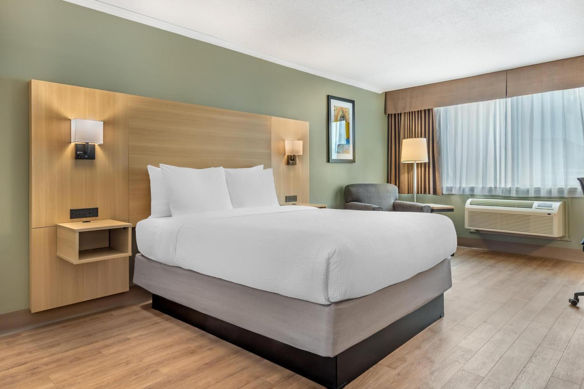 Staying Near Carleton University Art Gallery: 4 Business Hotels Compared