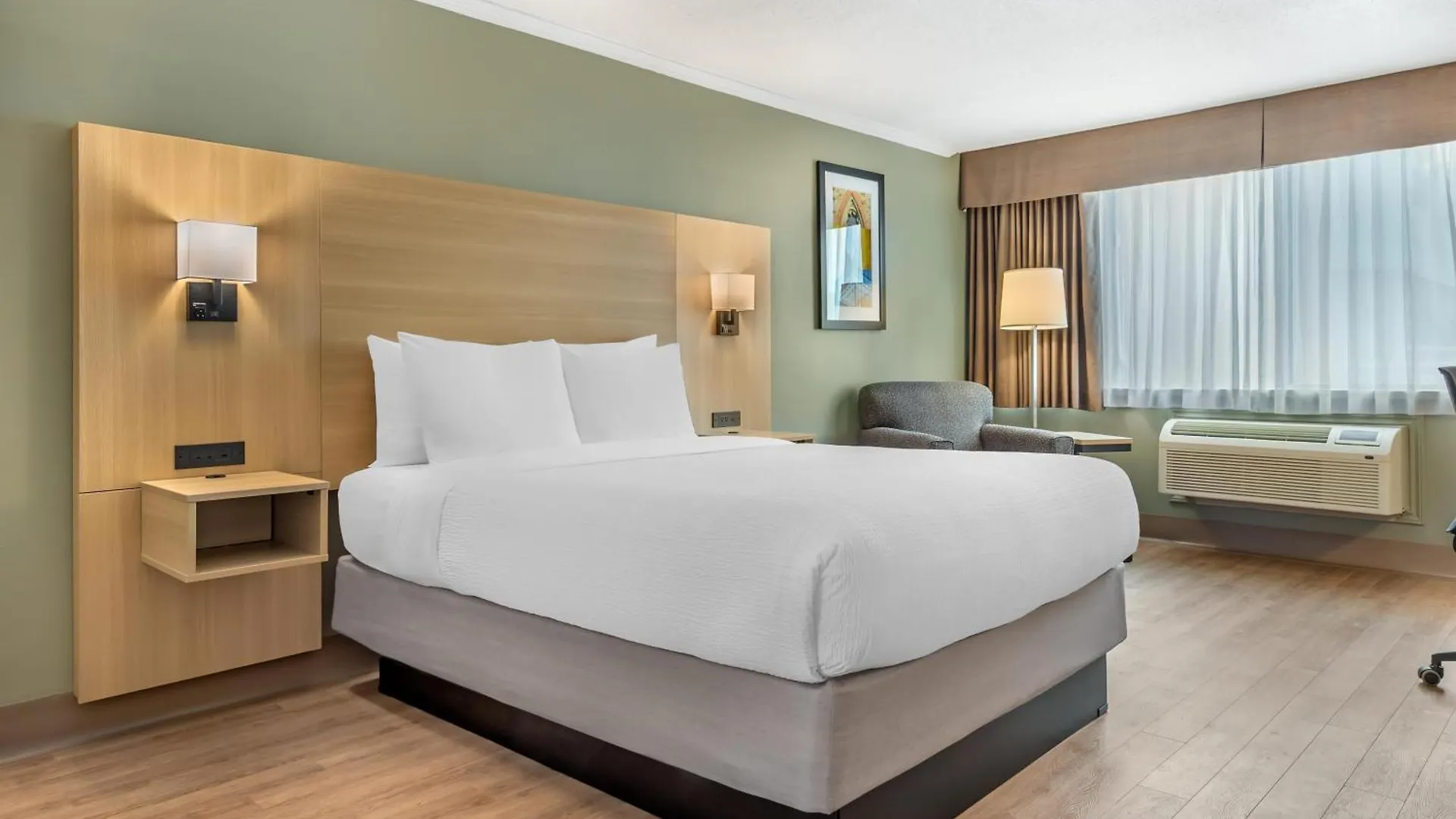 Staying Near Carleton University Art Gallery: 4 Business Hotels Compared