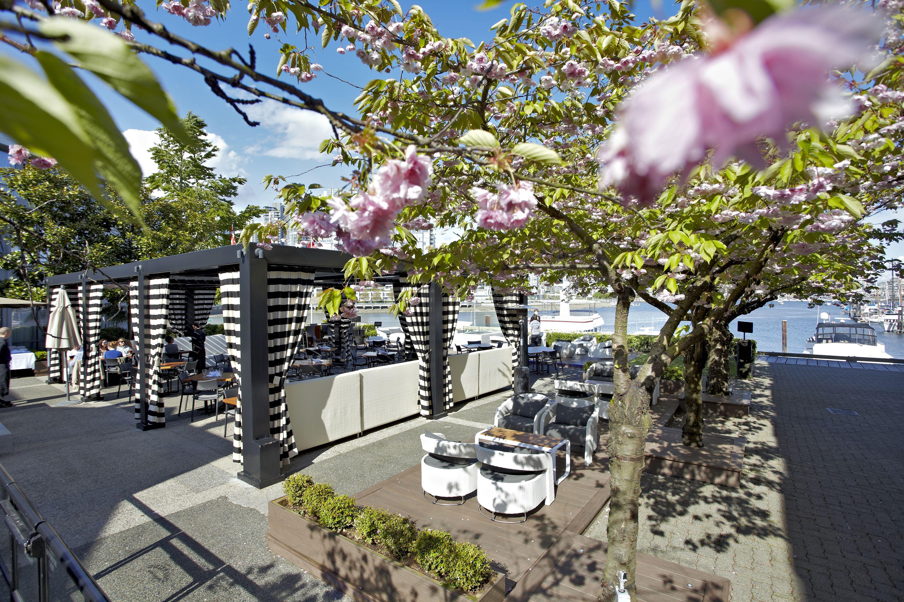 6 Top-Rated Hotels Close to Museum District Vancouver